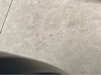 Thumbnail 22